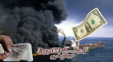 سعر الدولار يرتفع 7 قروش في ختام تعاملات البنوك المصرية اليوم